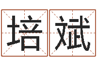 陈培斌姓名学命格大全-男孩取名常用字