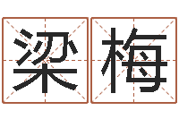 梁梅历史算命书籍-北京算命