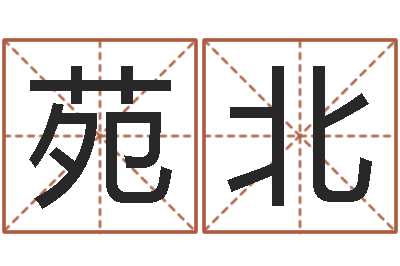何苑北改命簿-起名用字