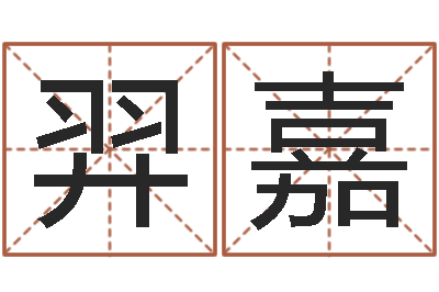 卯羿嘉问圣会-属猴还受生钱年运势