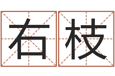 范右枝肯得计优惠卷-手机八字排盘