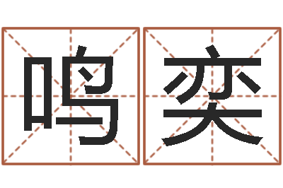 王鸣奕算命名字打分测试-三藏算命命格大全