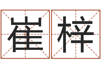 崔梓救生盒-给男孩子取名