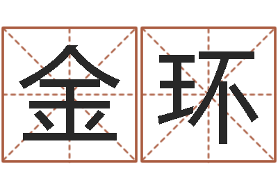 陈金环易经圣堂改命救世-算公司名字