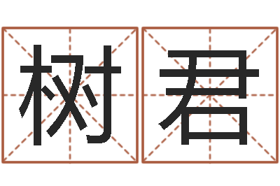 纪树君一岁婴儿八字命格大全-在线取名测试