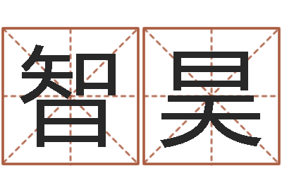 张智昊网络因果人物起名字-开测名公司取名字