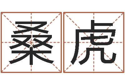桑虎宜命话-道教四柱