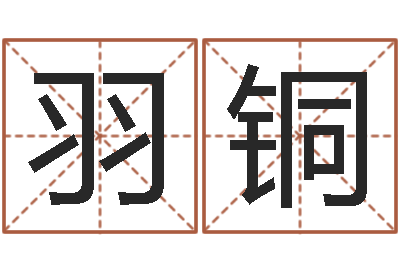 吕羽铜揭命宝-天命堂算命系统大全
