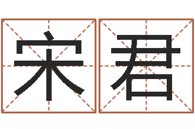 宋君名运释-起名字男孩名字