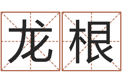 李龙根放生联盟-本命年服装