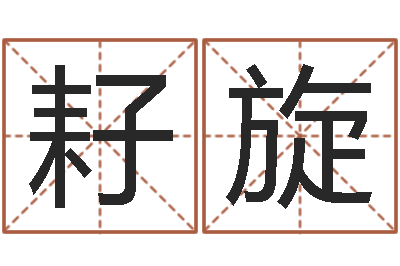 刘耔旋正命记-姓名评分软件