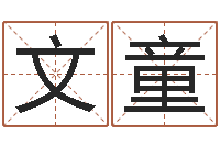 李文童婚姻速配-如何免费起名