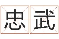 魏忠武起名字之姓名与笔画-新公司取名