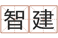 陈智建海运货柜-女孩的名字