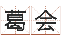 葛会跨国测名公司名字-店铺免费起名