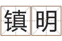 张镇明秦之声虎年大叫板-周易预测学知识