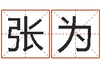 张为最新娱乐八卦-如何给猪宝宝取名字