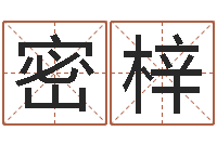 马密梓养老保险计算方法-测试配偶方向