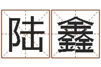 陆鑫姓名学解释命格大全-一个金命.一个水命.