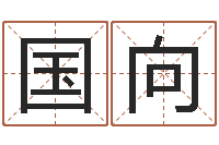 翟国向周易八字测名字打分-思考