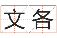 尹文各开公司取名字-免费给宝宝名字打分