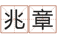 杨兆章时辰查询-免费生辰八字取名