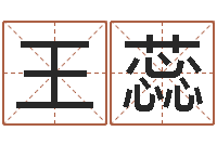 王蕊选车号-起英文名字