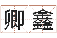 申卿鑫免费名字算命-择日而亡女演员