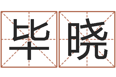 毕晓时辰八字-人民日报