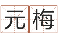 吴元梅四柱排盘系统v2.0-八字五行得分