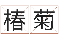 张椿菊算命风水电影电视剧-童子命年开业吉日