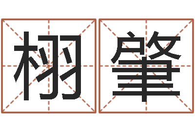 李栩肇鼠宝宝取名字-免费公司预测