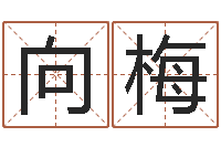 李向梅科学算命-八字算命准的姓名测分