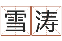 樊雪涛装饰公司名字-五个月宝宝的命运补救