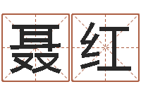 聂红系列之择日再死-四柱排盘算命