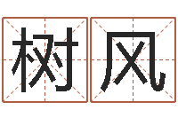 蔣树风维修公司起名-命注定我爱你