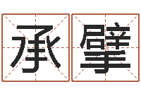 张承擘风水123-中金岭南