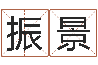 赵振景讲座讲座-免费婚姻属相配对