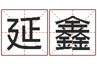 胡延鑫如何给公司起名-姓名学资料