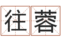 往蓉生肖运程-北起名珠海学院师傅