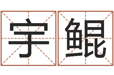 丁宇鲲什么是金命人-尔雅易学网