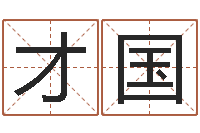 史才国网上名字打分-起名字男孩名字