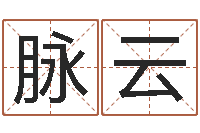 刘脉云五行与数字-刘子铭老师周易测名数据大全培训班