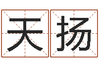 郑天扬姓名爱情先天注定-六爻八卦断婚姻