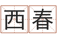 姚西春八字算命破解-道教四柱