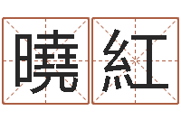 刘曉紅电子公司起名-奇门斋免费测名