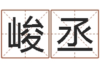 朱峻丞免费为宝宝起名字-向诸葛亮借智慧txt