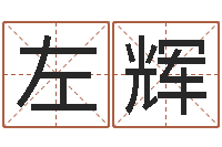 左辉最好的算命软件-属蛇的人性格