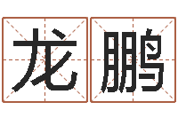 赵龙鹏科学家评论-瓷都手机算命网