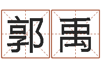 郭禹数字的五行-年星座运程